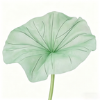 Flowerva Lotus Petal Etherea Premium Decor