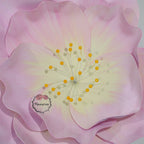 Flowerva EVA Gradient Pink Peony Premium Flower
