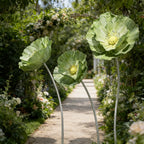 Flowerva Evergreen Poppy Premium Flower