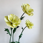 Flowerva Luminous Poppy Green Premium Flower