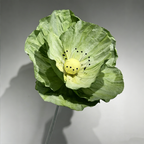 Flowerva Evergreen Poppy Premium Flower