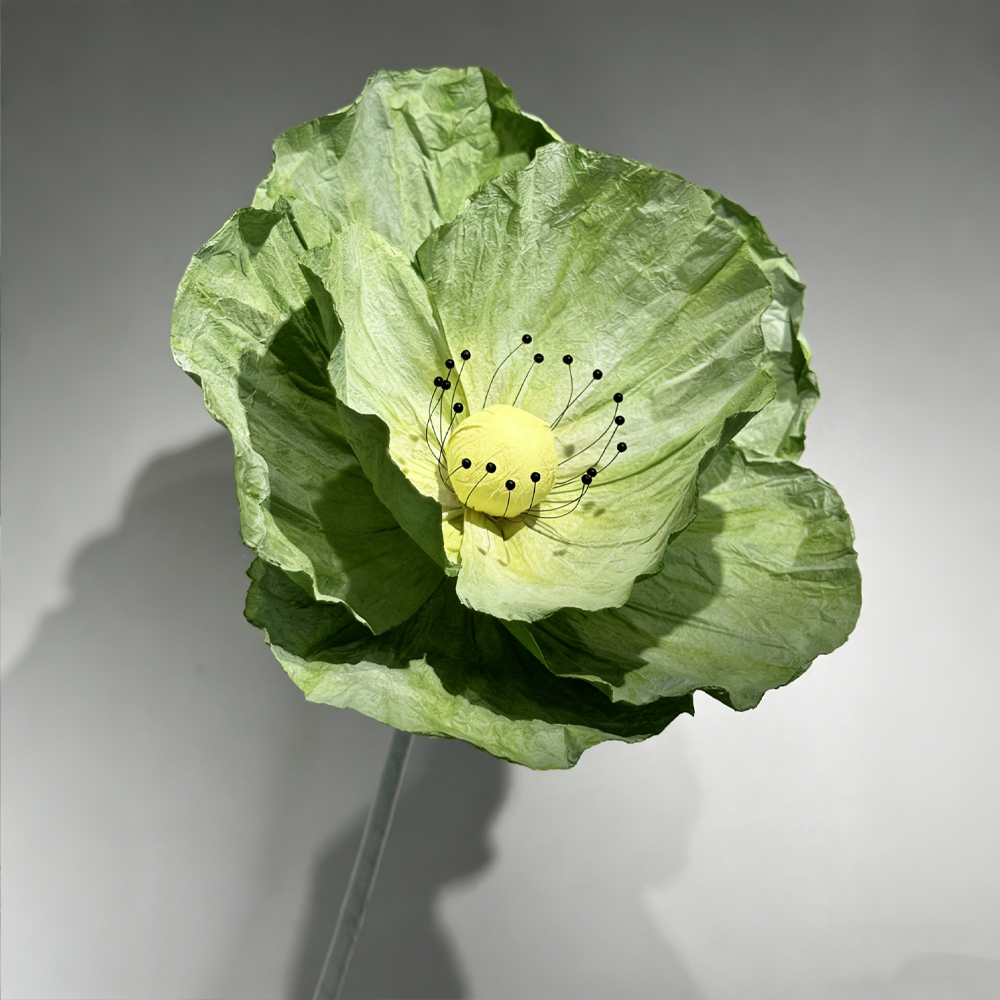 Flowerva Evergreen Poppy Premium Flower