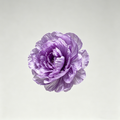 Flowerva Peony Veil Luminara Premium Decor