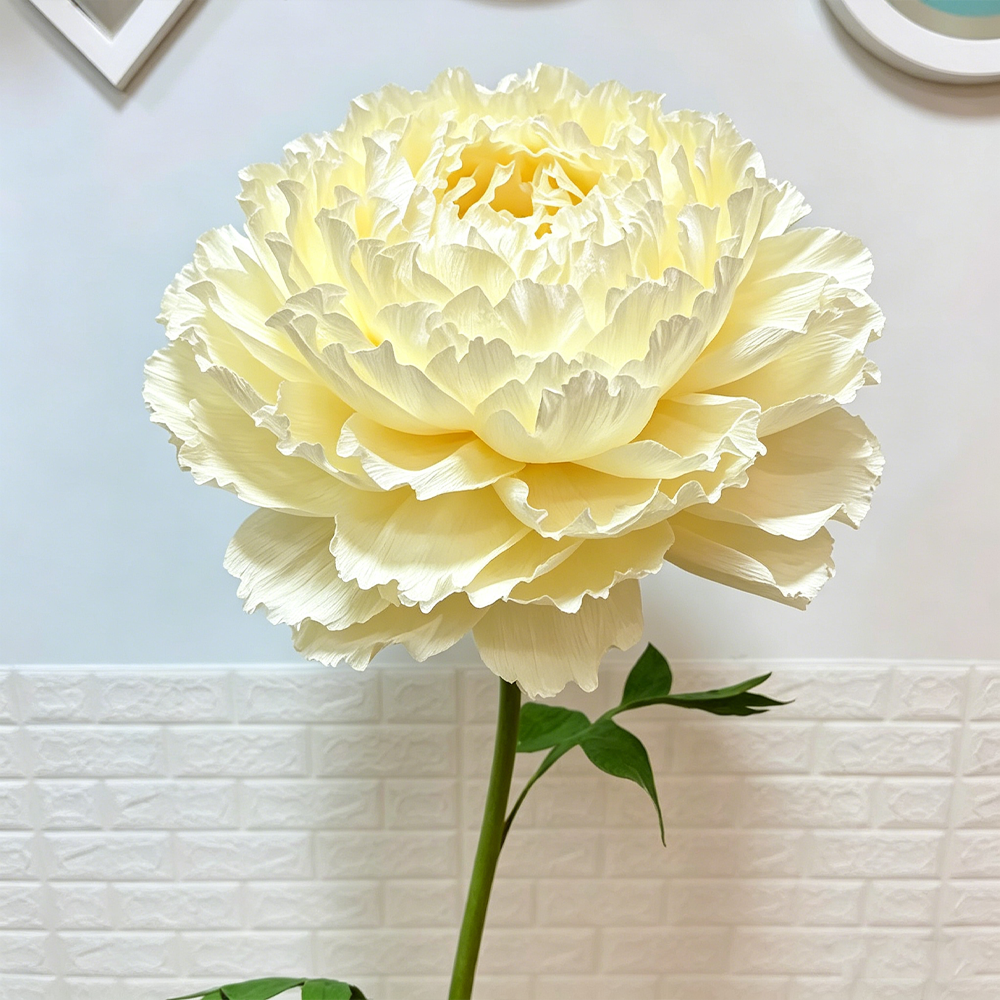 Bomng Imperial Cream Paper Peony Premium Flower