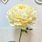 Bomng Imperial Cream Paper Peony Premium Flower