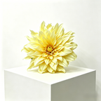Flowerva Cream Dahlia Bloom Premium Decor