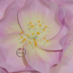Flowerva EVA Gradient Pink Peony Premium Flower
