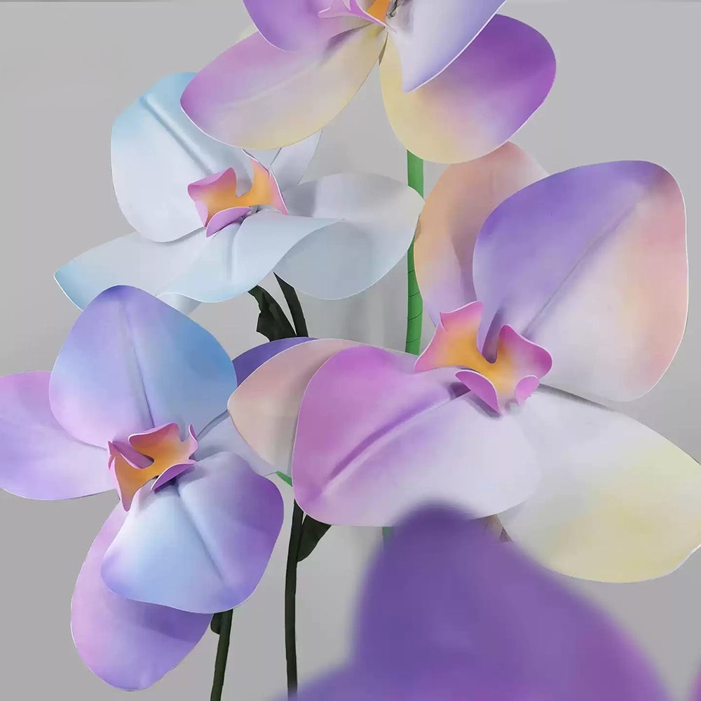 Flowerva Pastel Gradient Cadence Premium Decor