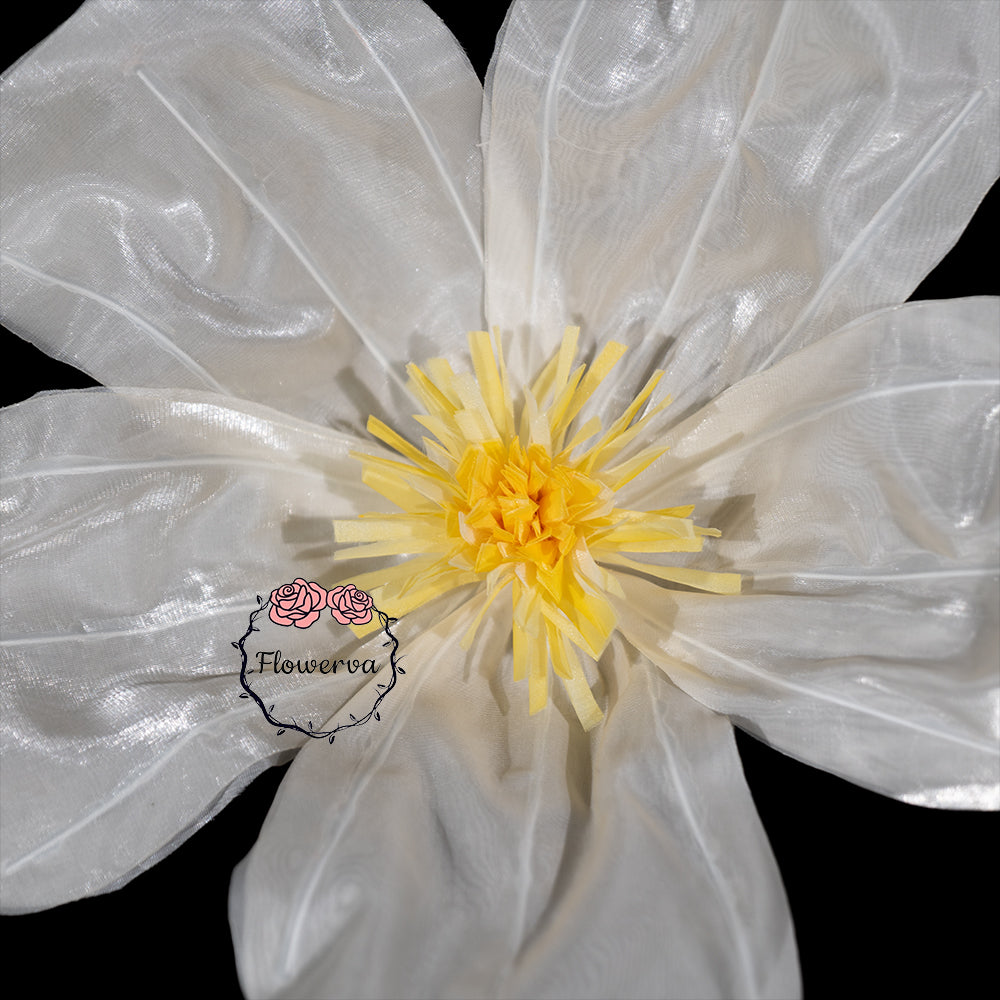 Flowerva Sheer Fabric White Daisy Decor