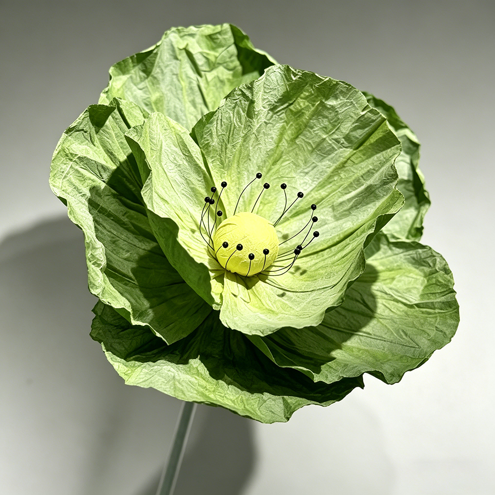 Flowerva Evergreen Poppy Premium Flower