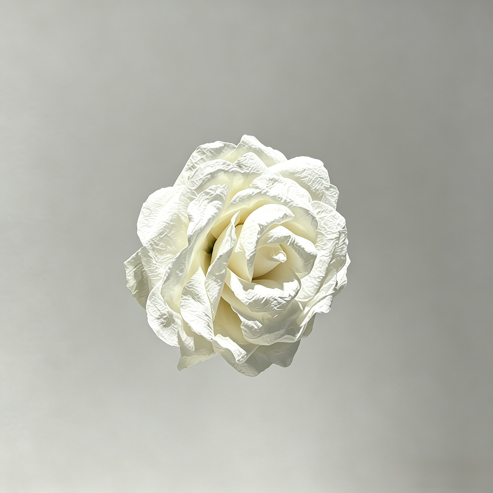 Flowerva White Rose Chroma Cluster Premium Decor