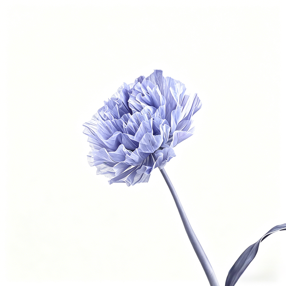 Flowerva Violet Haze Premium Flower