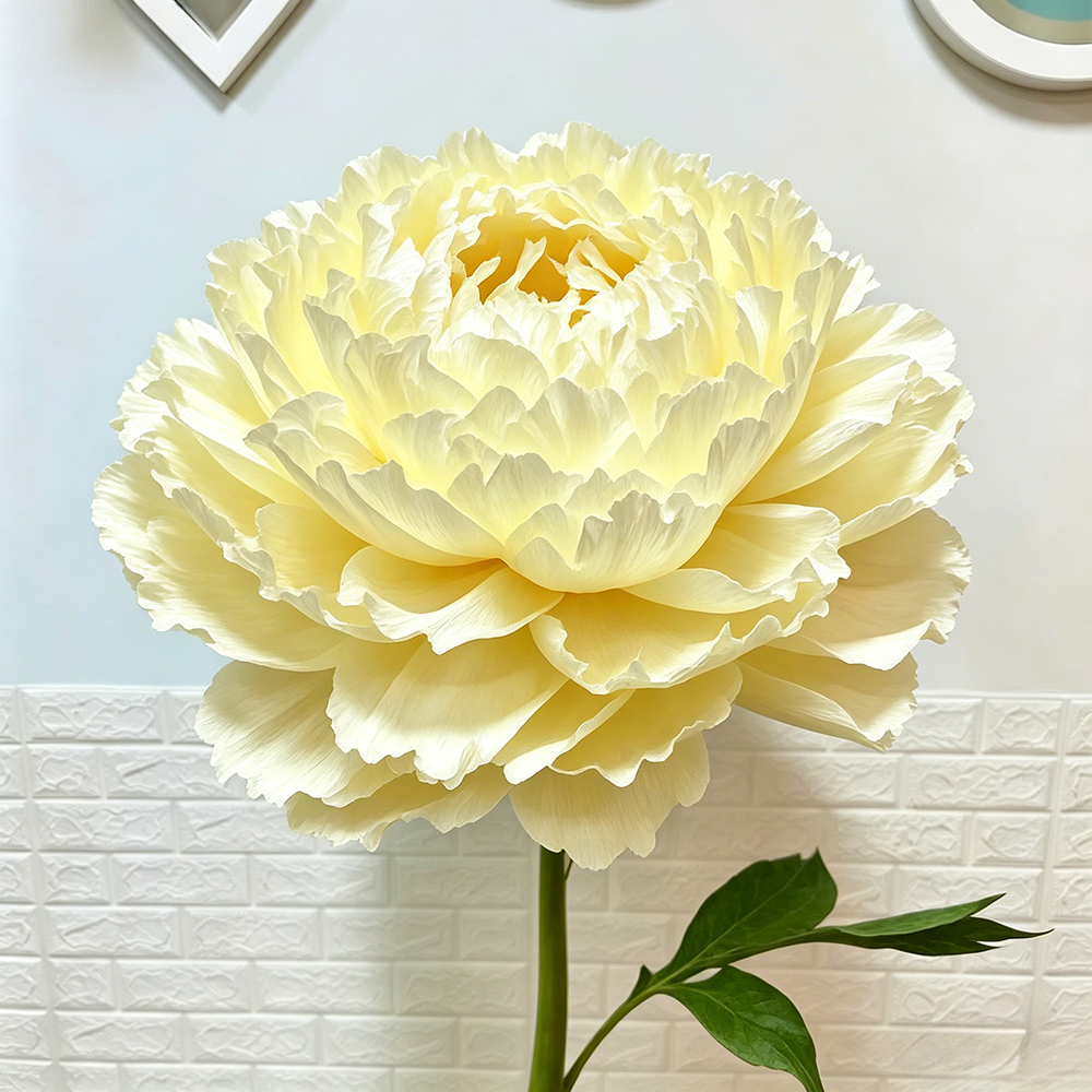 Bomng Imperial Cream Paper Peony Premium Flower