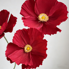 Flowerva Ethereal Crepe Paper Poppy Red Art Installation