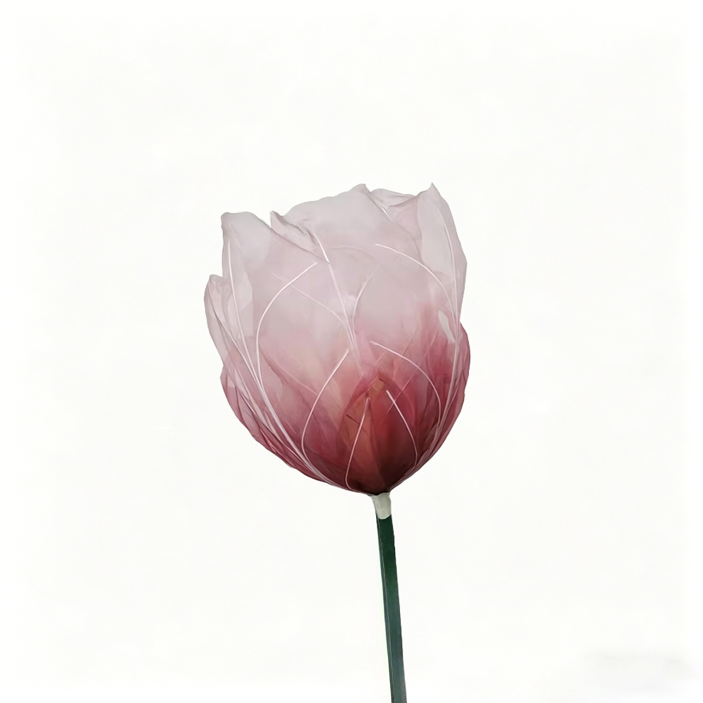 Flowerva Tulip Veil Etherea Premium Decor—Type A