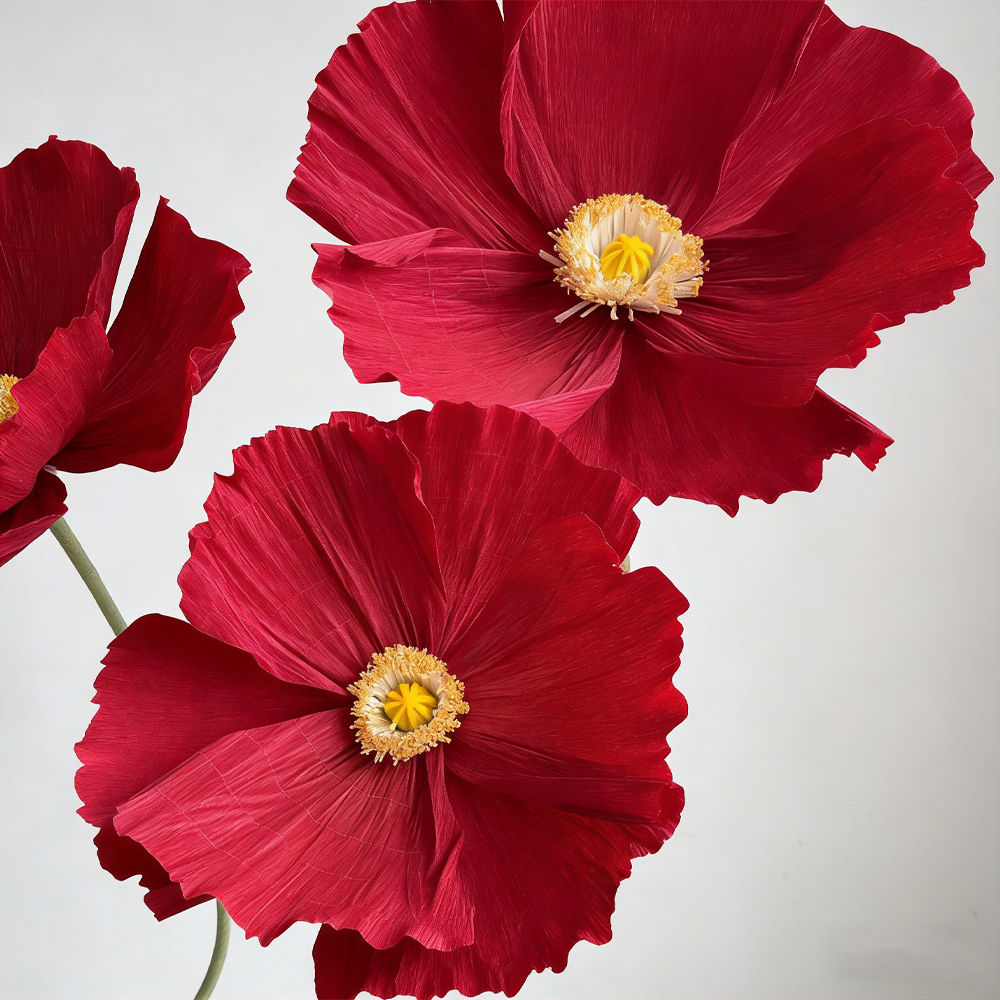 Flowerva Ethereal Crepe Paper Poppy Art Installation