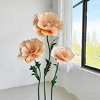 Flowerva Luminous Sheer Poppy Premium Flower