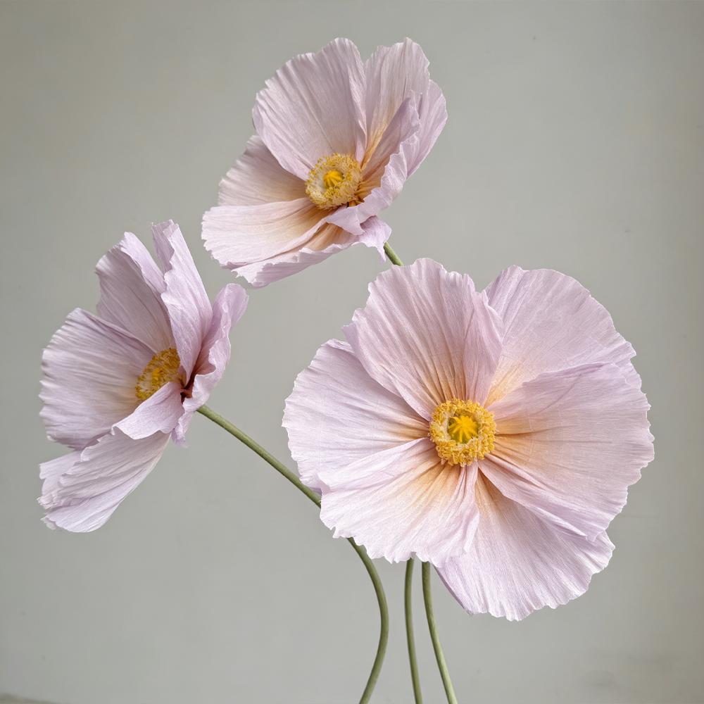 Flowerva Ethereal Crepe Paper Poppy Art Installation