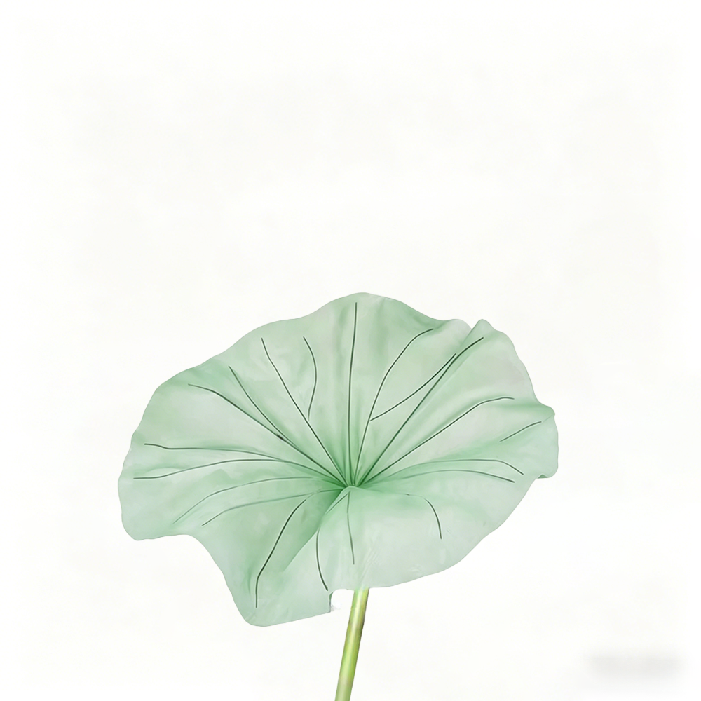 Flowerva Lotus Petal Etherea Premium Decor