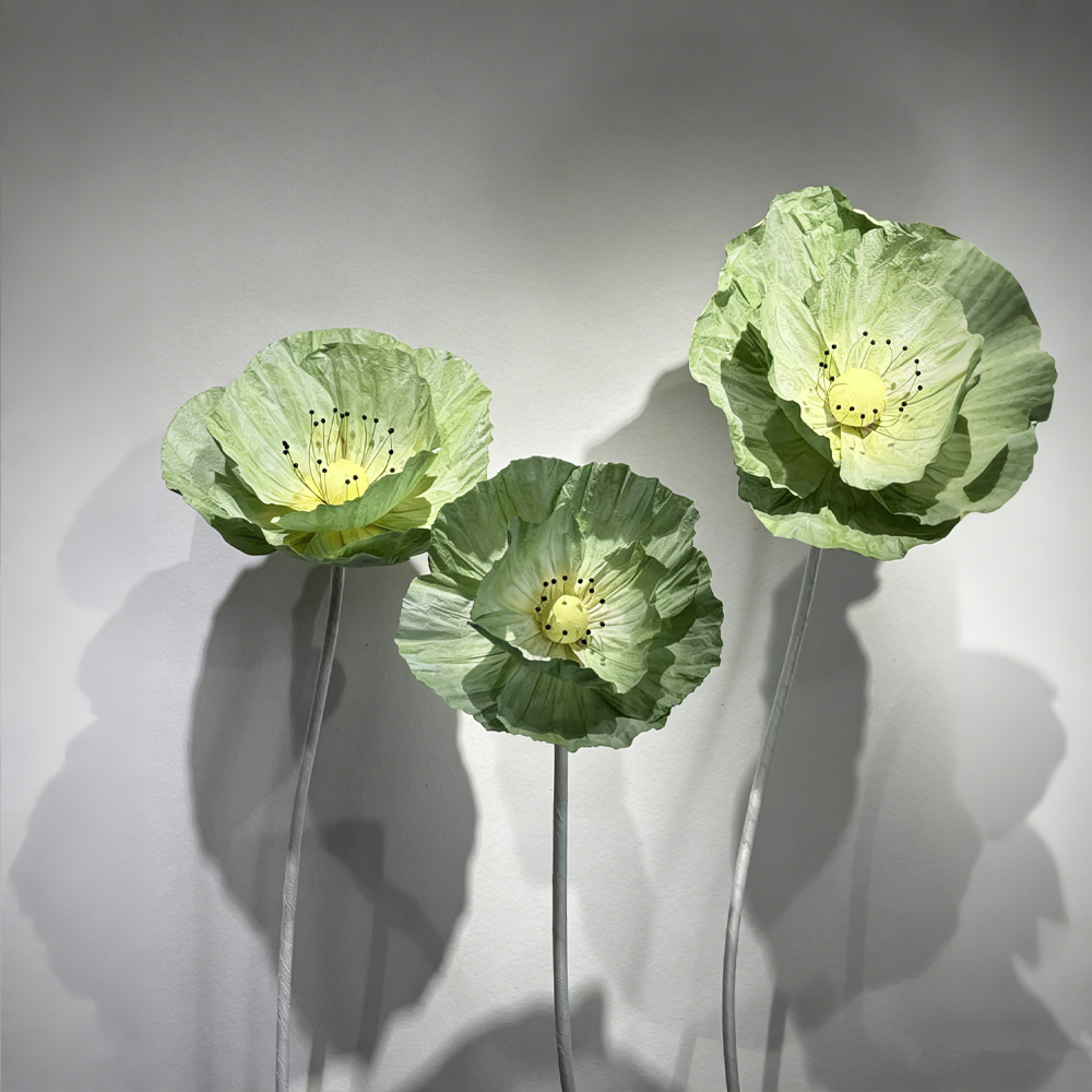 Flowerva Evergreen Poppy Premium Flower