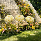 Bomng Imperial Cream Paper Peony Premium Flower