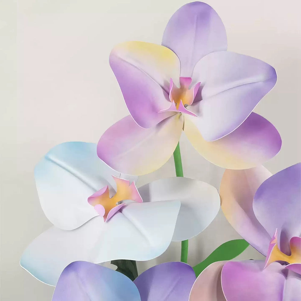 Flowerva Pastel Gradient Cadence Premium Decor