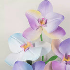Flowerva Pastel Gradient Cadence Premium Decor