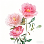 Flowerva Orchid Peony Luminaire Premium Flower