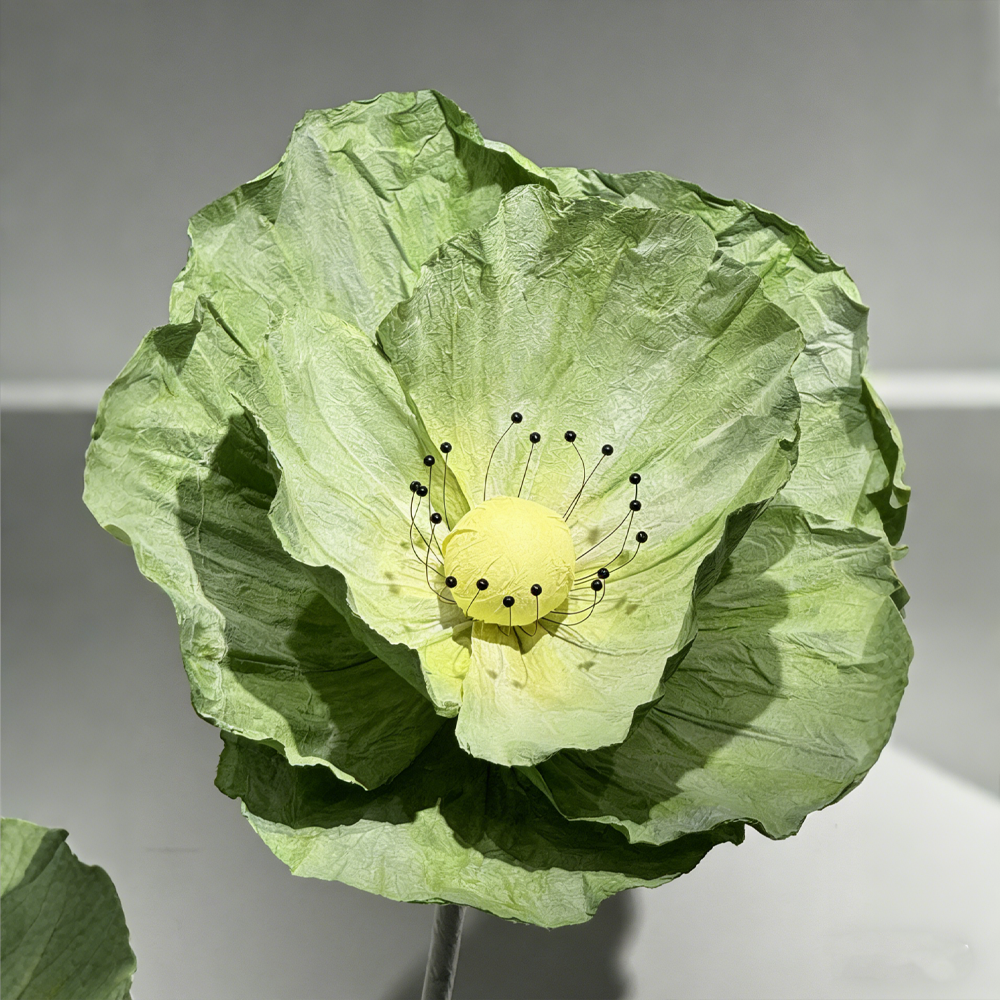 Flowerva Evergreen Poppy Premium Flower