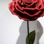 Flowerva Blazing Crimson Rose Premium Flower