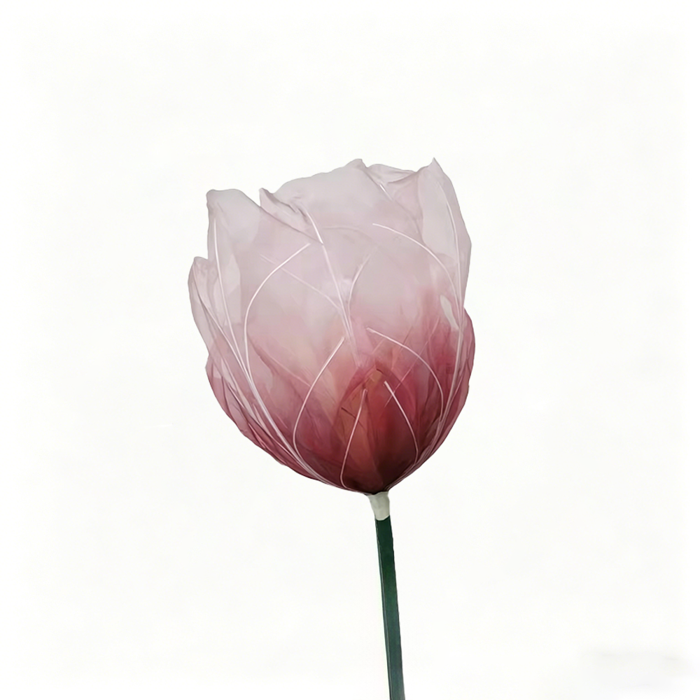 Flowerva Tulip Veil Etherea Premium Decor—Type A