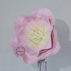 Flowerva EVA Gradient Pink Peony Premium Flower