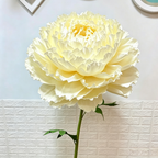 Bomng Imperial Cream Paper Peony Premium Flower