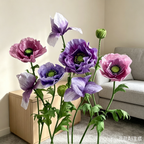Flowerva Ombre Petal Cadence Premium Decor