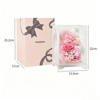 Flowerva Preserved Carnation Acrylic Mirror Box Premium Decor