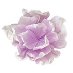 Flowerva Crinkle Layered Formwork Premium Decor