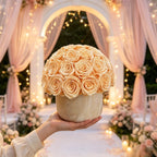 Premium Preserved Roses Light Champagne Gift Box