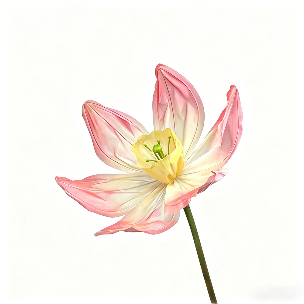 Flowerva Soft Narcissus Premium Flower
