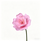 Flowerva Pink Blossom Contour Premium Decor