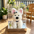 Flowerva Westie Sculpture Acrylic Display Premium Decor