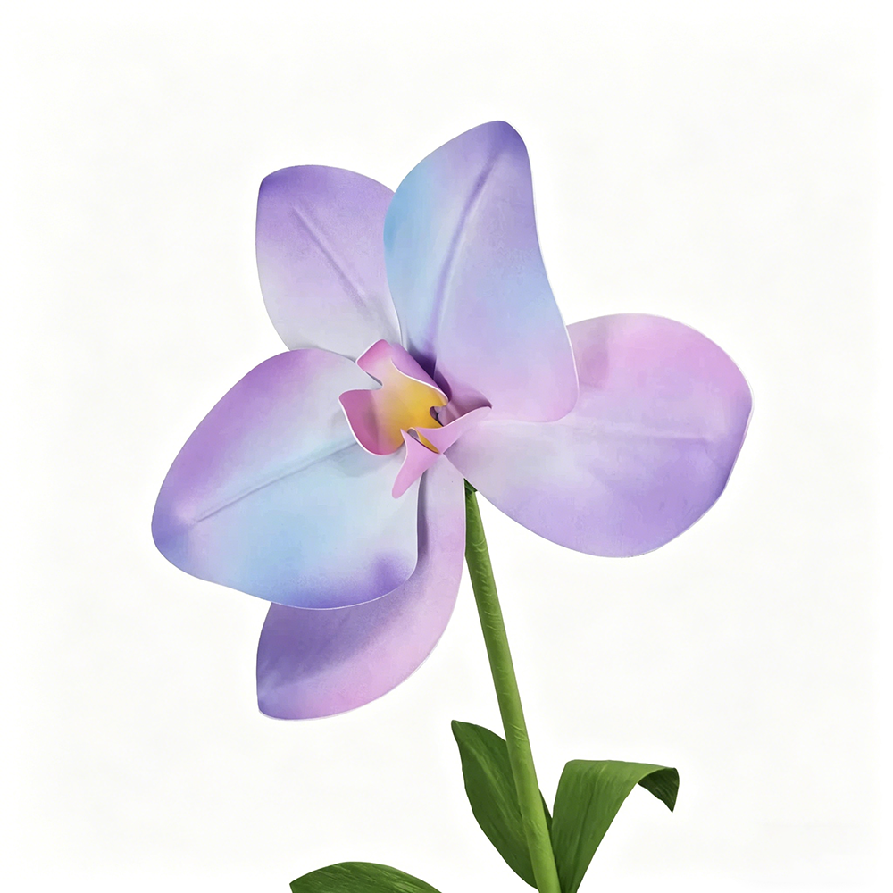 Flowerva Pastel Gradient Cadence Premium Decor