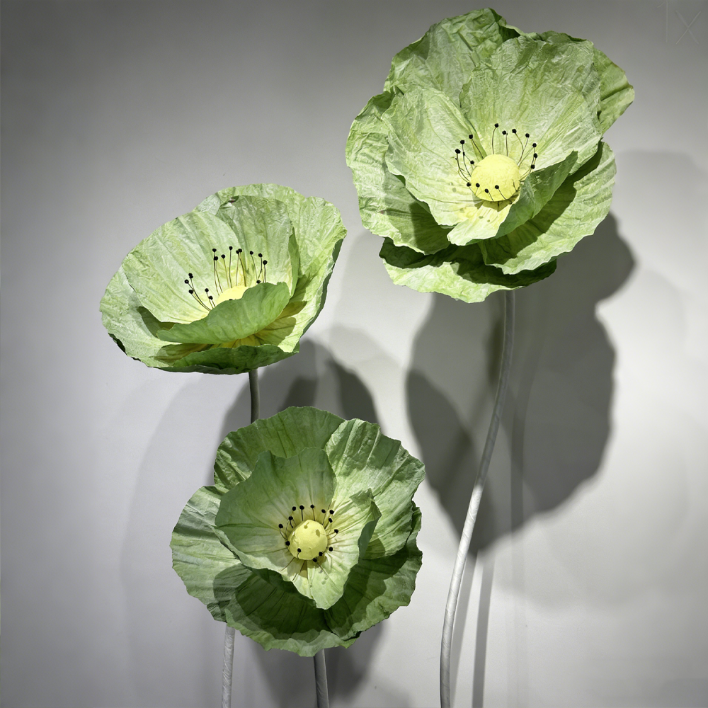 Flowerva Evergreen Poppy Premium Flower