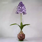 Flowerva Muscari Palette Artisan Premium Decor