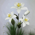 Flowerva Lily Set Silhouette Sprig Premium Decor