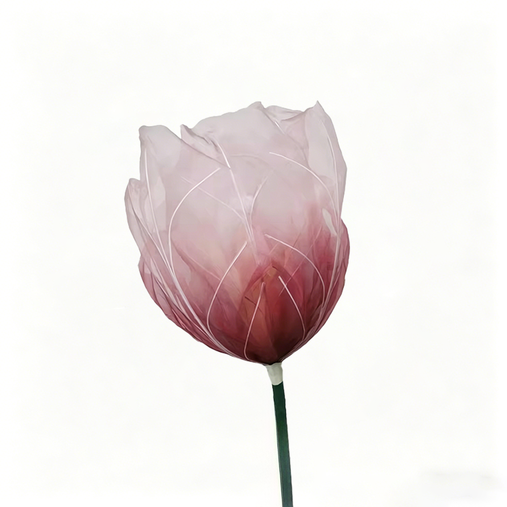 Flowerva Tulip Veil Etherea Premium Decor—Type A