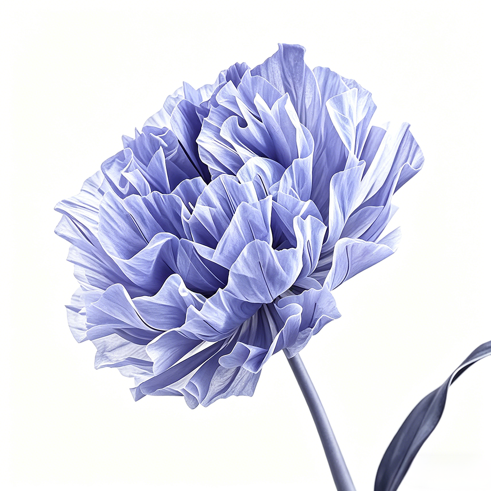 Flowerva Violet Haze Premium Flower