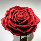 Flowerva Blazing Crimson Rose Premium Flower