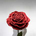 Flowerva Blazing Crimson Rose Premium Flower