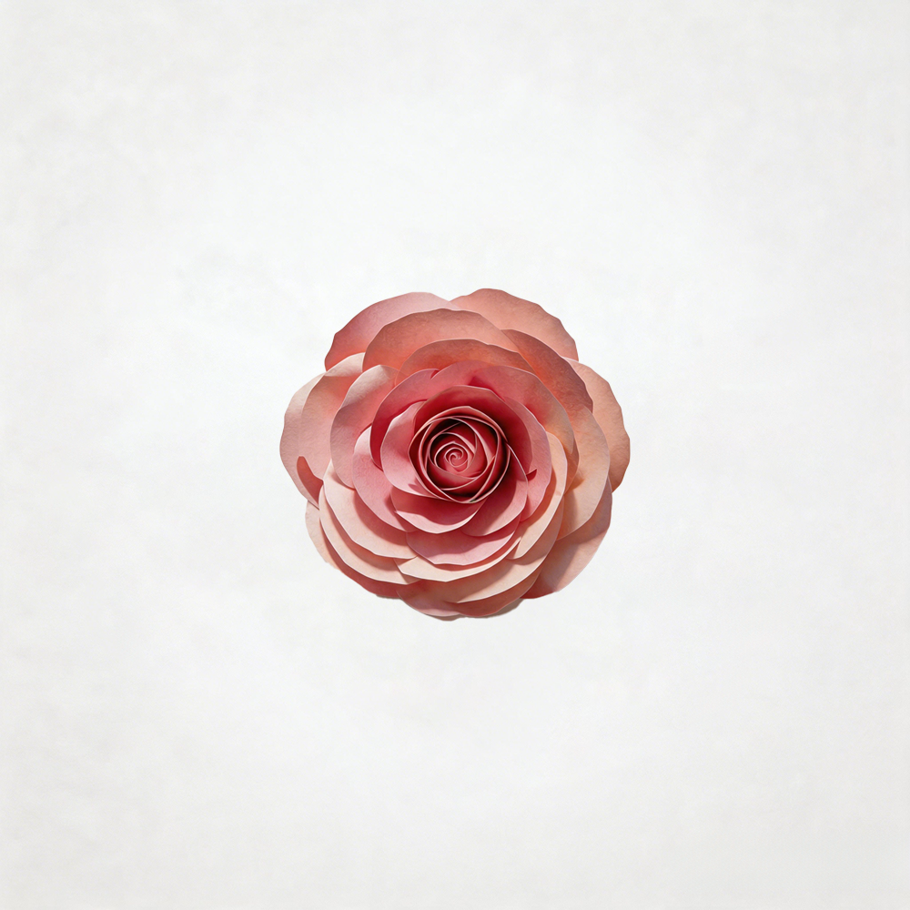 Flowerva Petal Sculptural Cadence Premium Decor