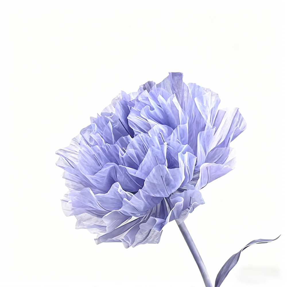 Flowerva Violet Haze Premium Flower
